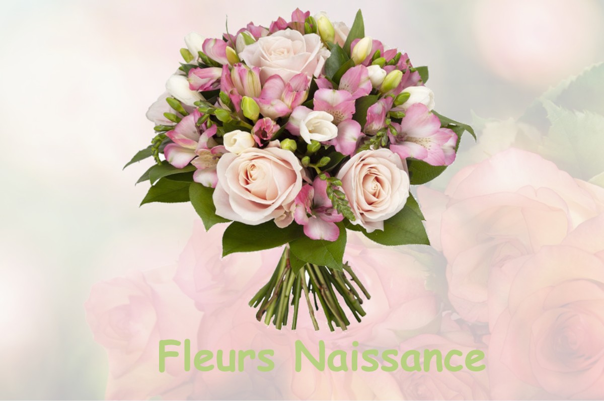 fleurs naissance LE-BAR-SUR-LOUP